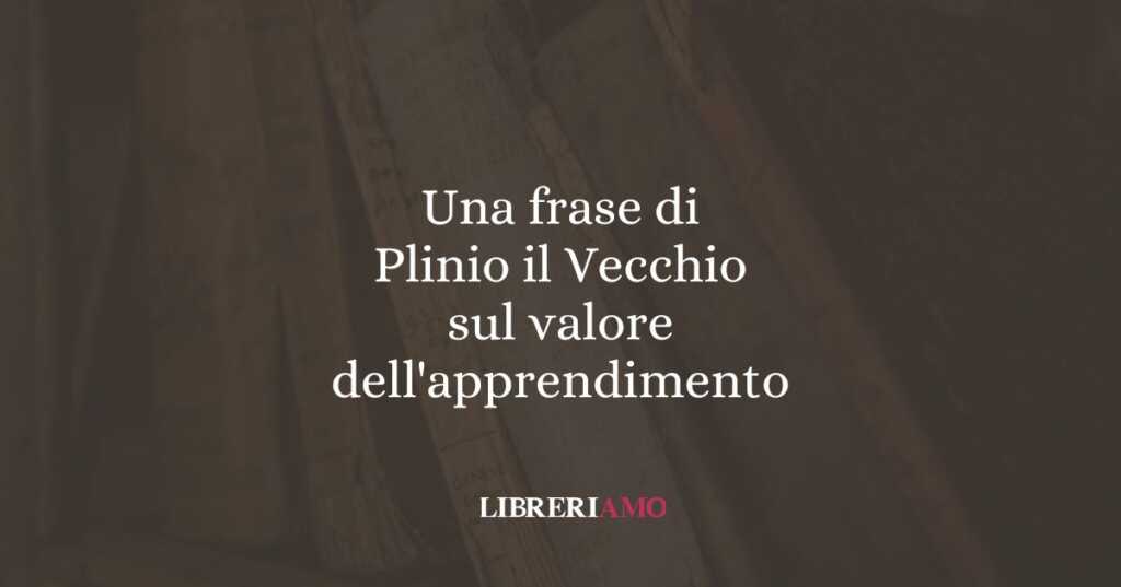 Una frase di Plinio il Vecchio sul valore dell'apprendimento