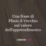 Una frase di Plinio il Vecchio sul valore dell'apprendimento