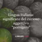Lingua italiana significato della curiosa parola pomigero