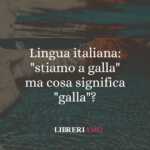 Lingua italiana: "stiamo a galla" ma cosa significa "galla"?
