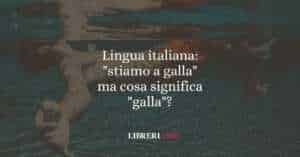 Lingua italiana: "stiamo a galla" ma cosa significa "galla"?
