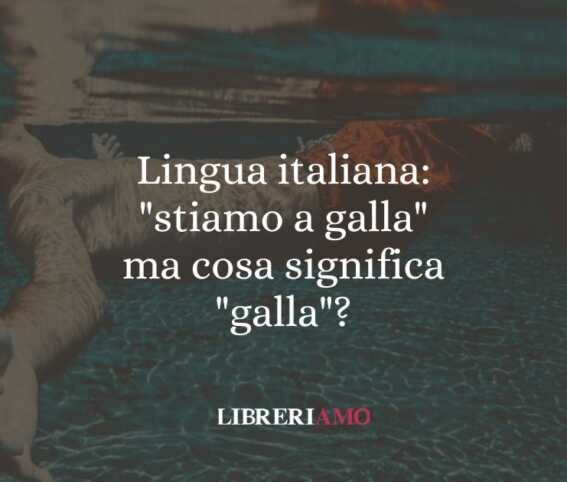 Lingua Italiana: &Amp;Quot;Stiamo A Galla&Amp;Quot; Ma Cosa Significa &Amp;Quot;Galla&Amp;Quot;? 1 Lingua italiana: "stiamo a galla" ma cosa significa "galla"?