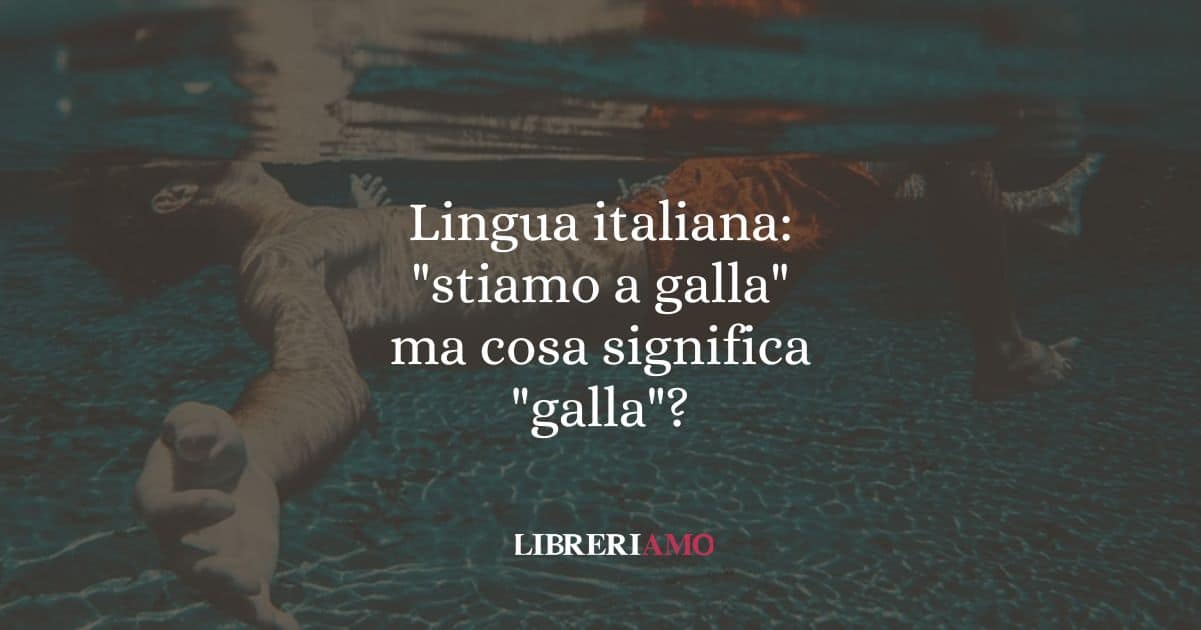 Lingua italiana: "stiamo a galla" ma cosa significa "galla"?