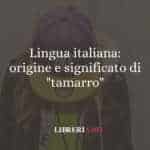 Lingua italiana: origine e significato di "tamarro"