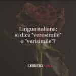 Lingua italiana: si dice "verosimile" o "verisimile"?