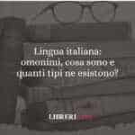 Lingua italiana: omonimi, cosa sono e quanti tipi ne esistono?