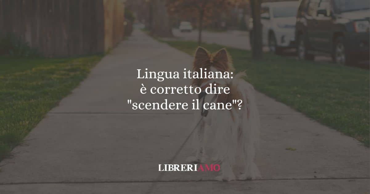 Lingua italiana: è corretto dire "scendere il cane"?