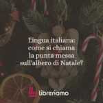 Lingua italiana: come si chiama la punta messa sull'albero di Natale?