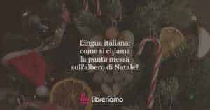 Lingua italiana: come si chiama la punta messa sull'albero di Natale?