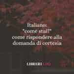 Italiano: "come stai?" come rispondere alla domanda di cortesia