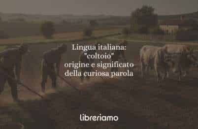 Lingua italiana: "coltoio", origine e significato della curiosa parola
