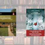 2 libri sul coraggio del silenzio: cosa ci svelano le donne che sfidano il buio