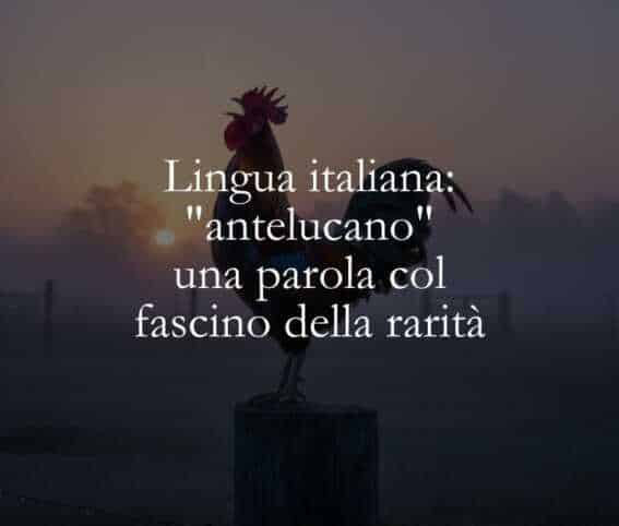 Lingua italiana antelucano una parola col fascino della rarità