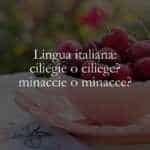 Lingua italiana ciliegie o ciliege minaccie o minacce