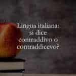Lingua italiana si dice contraddivo o contraddicevo