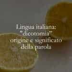 Lingua italiana dicotomia, origine e significato della parola