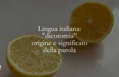 Lingua italiana dicotomia, origine e significato della parola