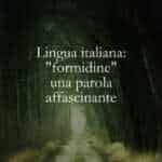 Lingua italiana formidine una parola affascinante