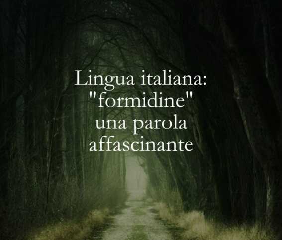 Lingua italiana formidine una parola affascinante