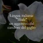 Lingua italiana liliale un aggettivo dal candore del giglio