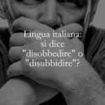 Lingua italiana si dice disobbedire o disubbidire
