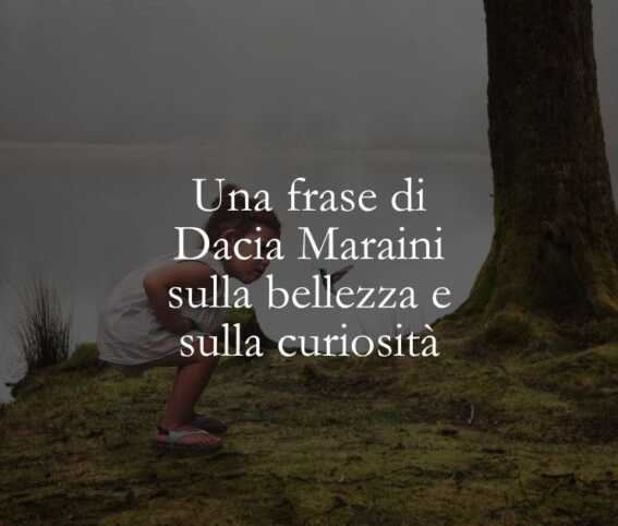 Una frase di Dacia Maraini sulla bellezza e sulla curiosità