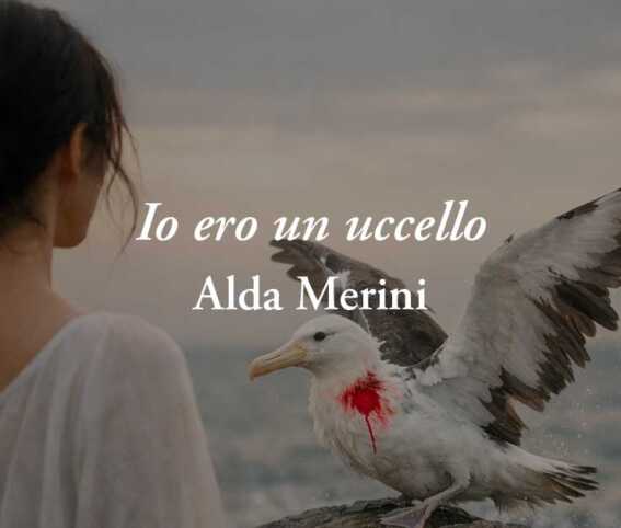 Io ero un uccello di Alda Merini: la poesia sull’amore che ti rialza quando tocchi il fondo