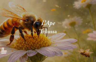 L'Ape di Trilussa: poesia che svela perché essere pacifici non significa essere deboli