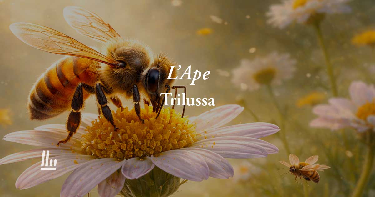 L'Ape di Trilussa: poesia che svela perché essere pacifici non significa essere deboli