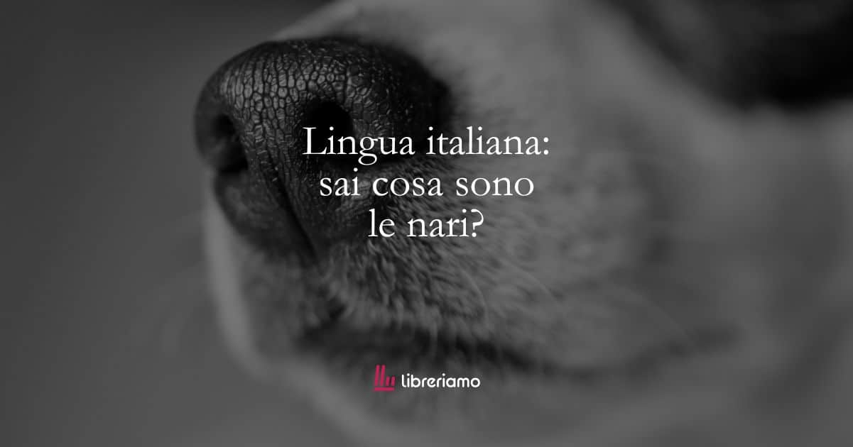 Lingua italiana: sai cosa sono le nari?