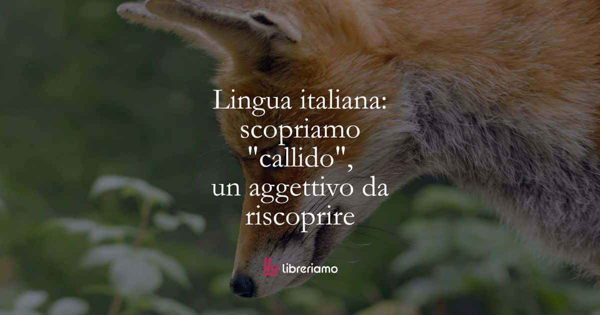 Lingua italiana: scopriamo "callido", un aggettivo da riscoprire 50 Lingua italiana: scopriamo “callido”, un aggettivo da riscoprire