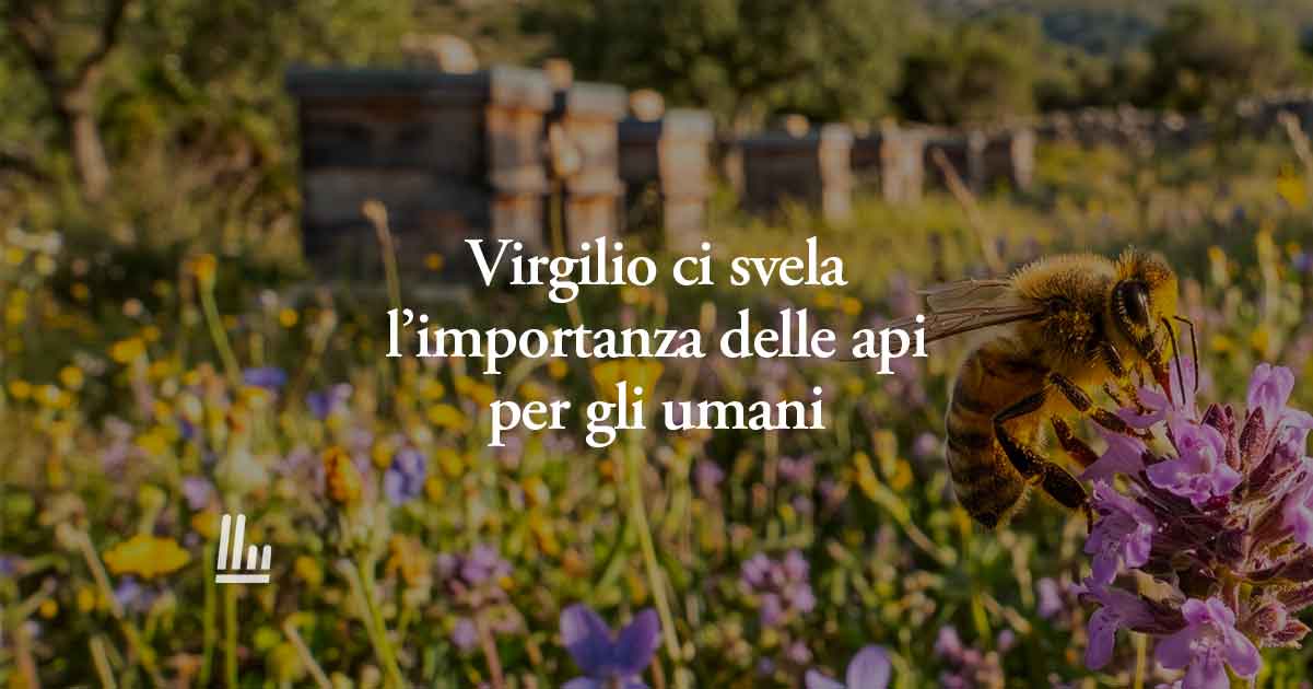 Virgilio ci insegna perché le api sono fondamentali per gli essere umani