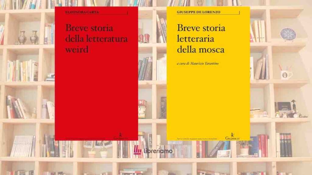 2 saggi sorprendenti per guardare alla letteratura in maniera inedita