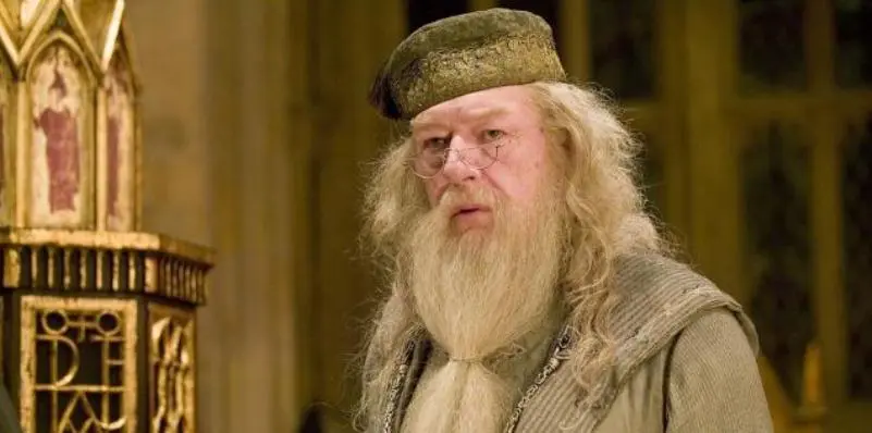 Harry Potter, professori Hogwarts