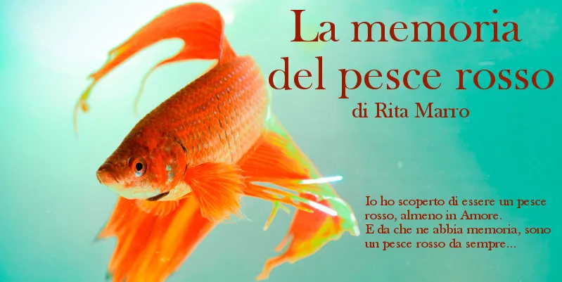 La memoria del pesce rosso - di Rita Marro