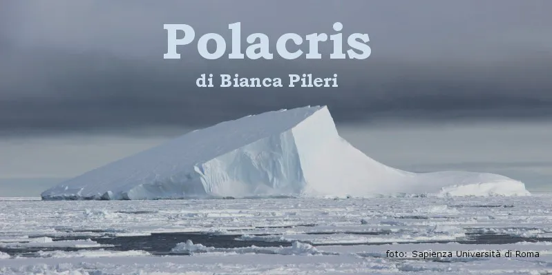 Polacris - racconto di Bianca Pileri