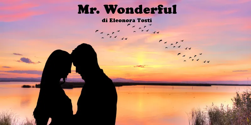 Mr. Wonderful - racconto di Eleonora Tosti