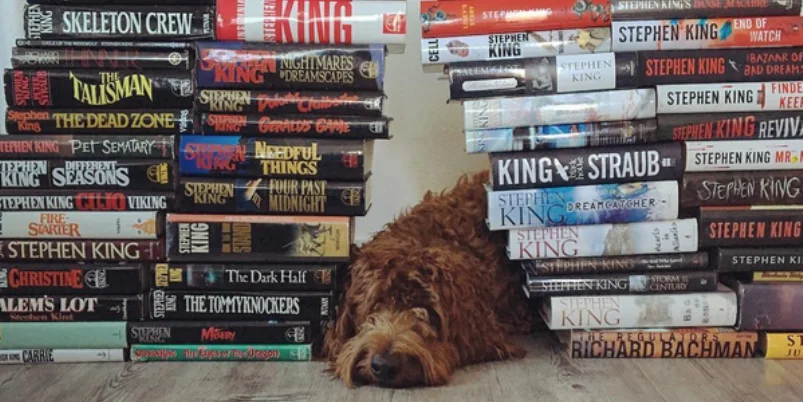 Gli account Instagram che stanno facendo impazzire chi ama i cani e la lettura