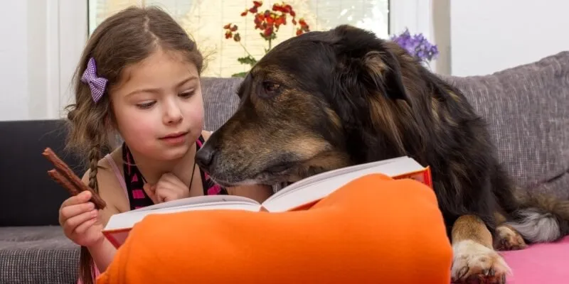 Pet Therapy, i cani lettori aiutano nell'apprendimento i bambini in difficoltà