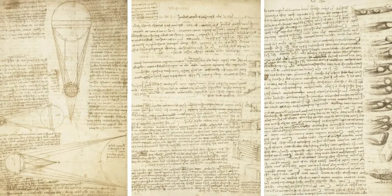 In mostra agli Uffizi il Codice Leicester di Leonardo da Vinci
