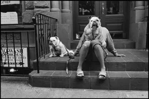 Elliott Erwitt/Magnum Photos. USA. New York City. 2000.