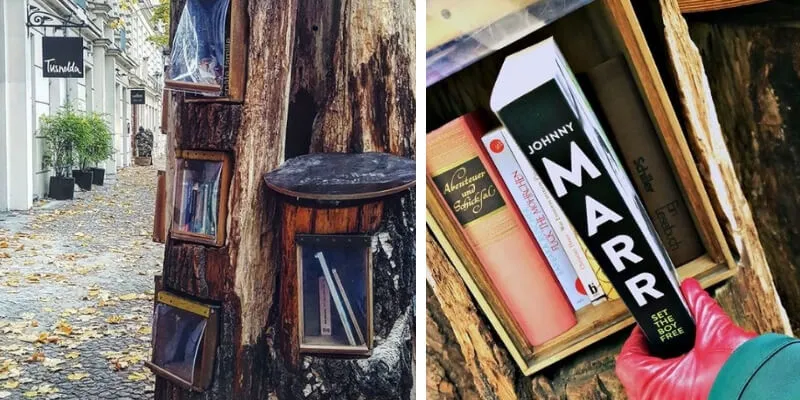 A Berlino esiste una libreria costruita dentro tronchi d'albero