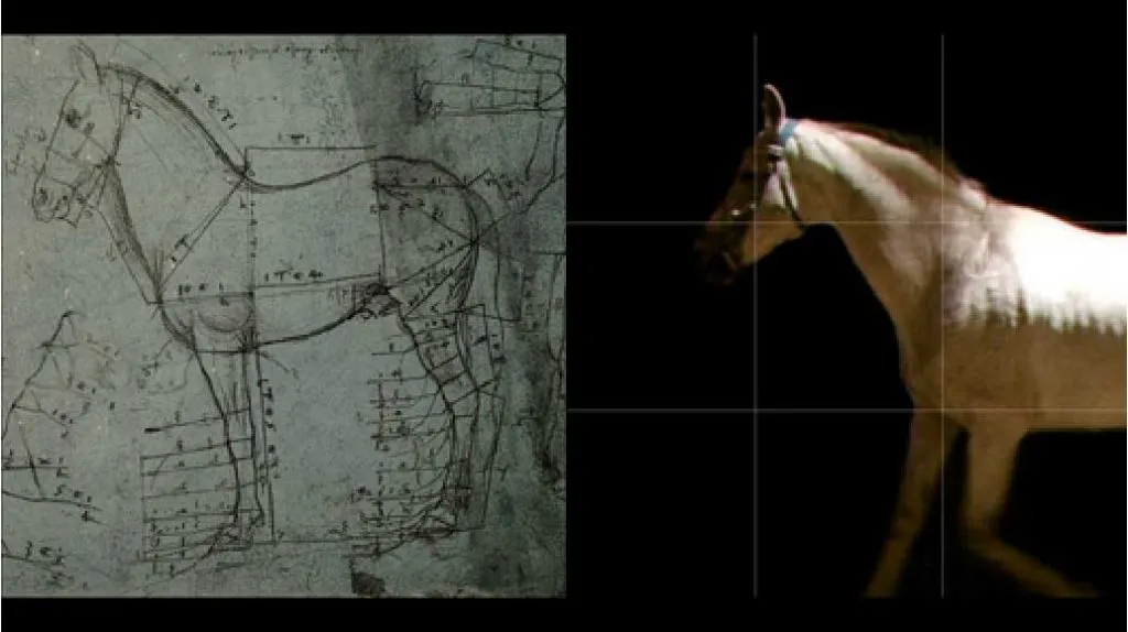 Leonardo da Vinci, a Milano la mostra interattiva dedicatagli