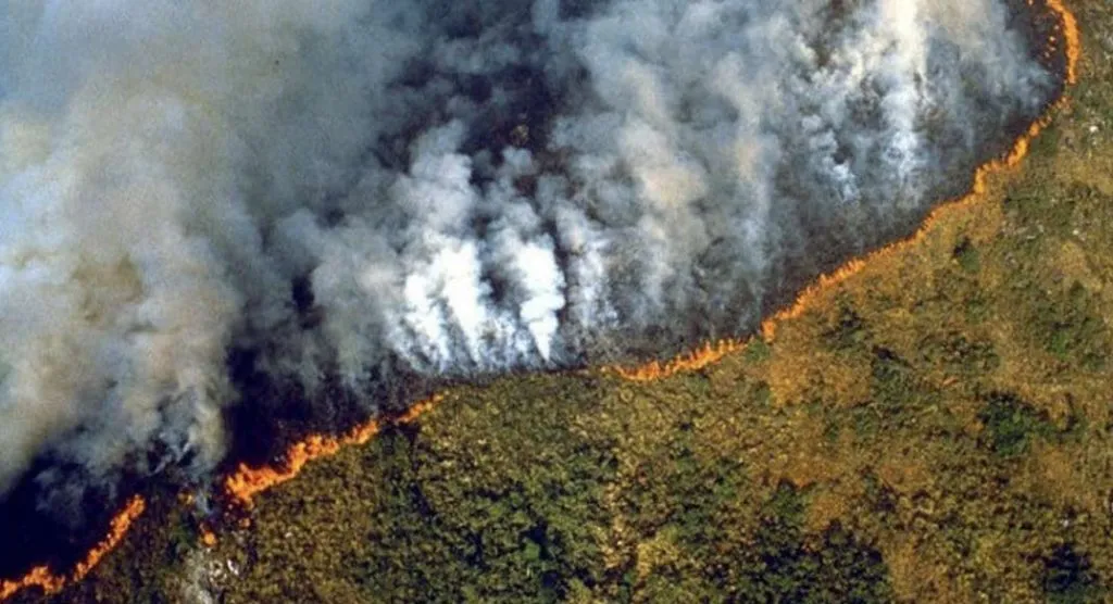 La Foresta amazzonica è in fiamme ( e nessuno ne parla)