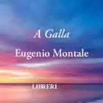 "A galla" di Eugenio Montale: poesia contro il "mal di vivere"