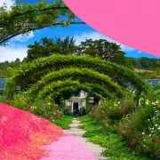 Casa Monet a Giverny, la visita virtuale nel suo regno colorato 2 visita-fondation-monet (1)