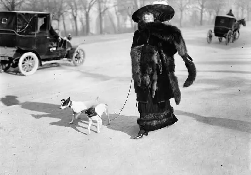 2. Anna la Pradvina detta anche “la signora con le volpi” Avenue du Bois Paris 1911