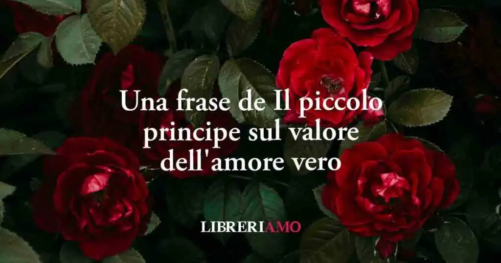 Una frase de Il piccolo principe dona una lezione sul valore dell'amore vero
