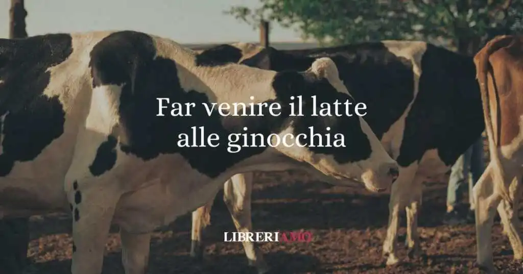 Far venire il latte alle ginocchia, origine e significato del modo di dire