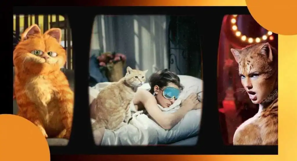 I 5 film più famosi con protagonisti i gatti